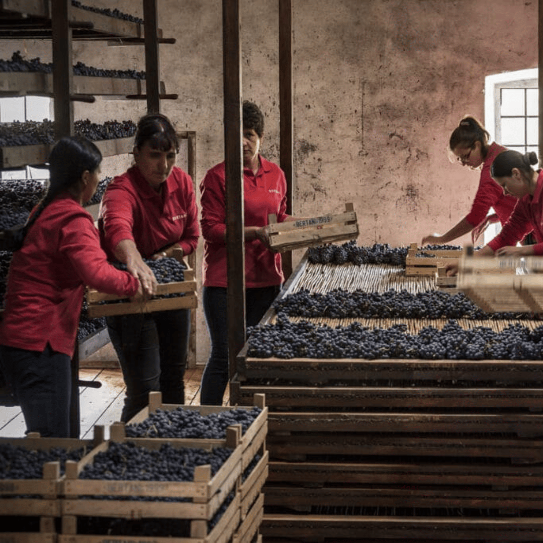 Uued Itaalia veinimaja Bertani veinid